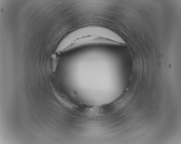 X0000075830092200610151531