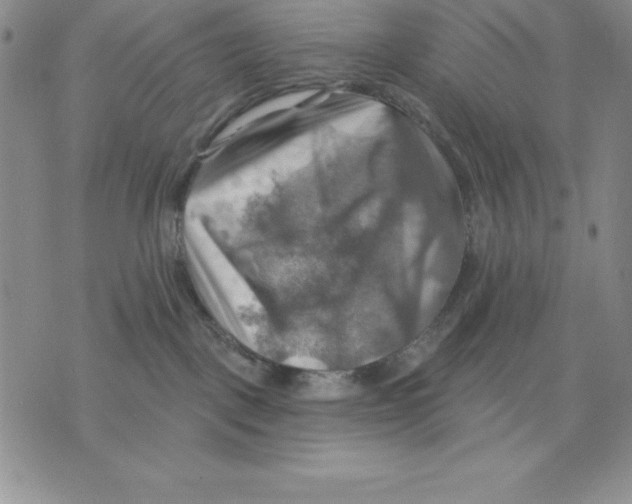 X0000075830093200610151531