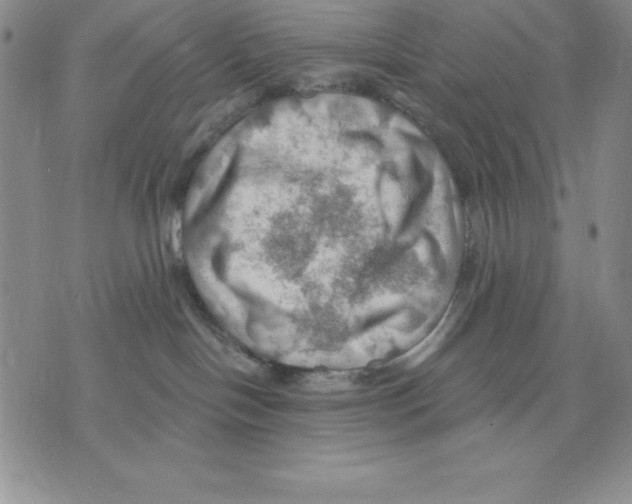 X0000075830094200610151531