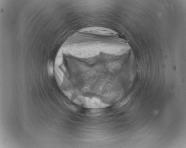 X0000075830095200610151531