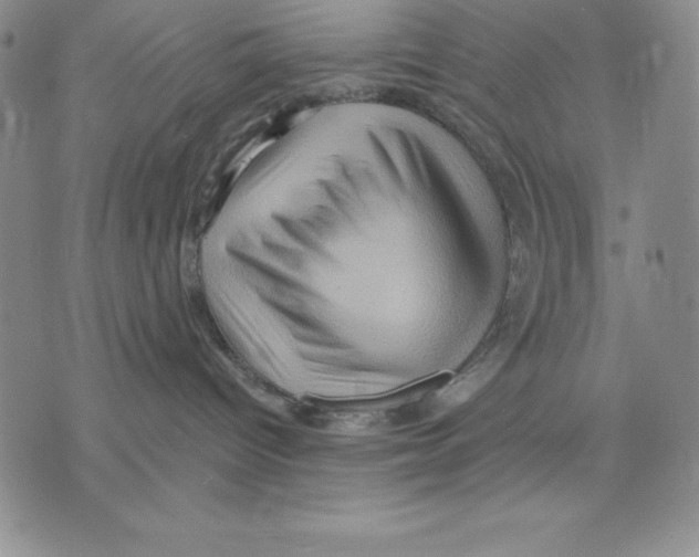 X0000075830096200610151531