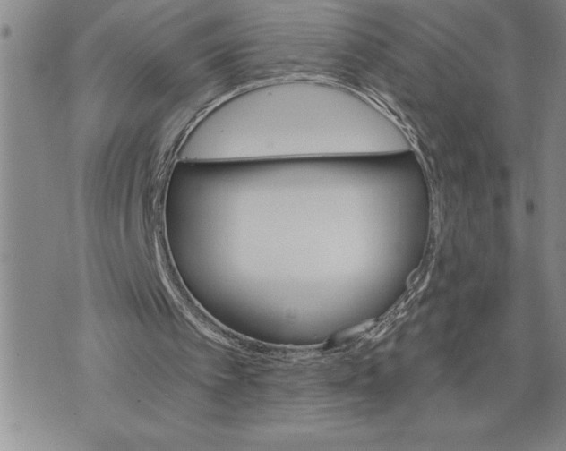 X0000075830097200610151530