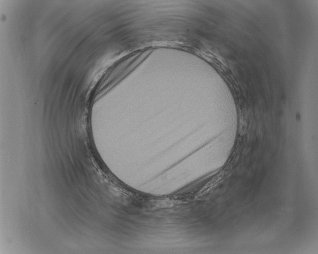 X0000075830098200610151530