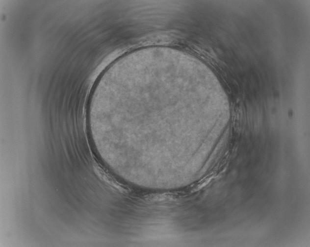 X0000075830100200610151530