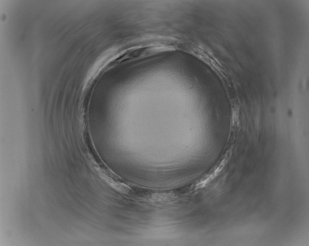 X0000075830101200610151530