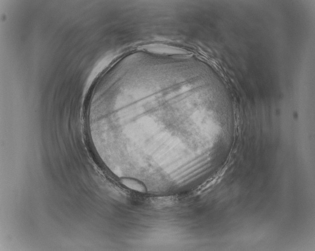 X0000075830102200610151530