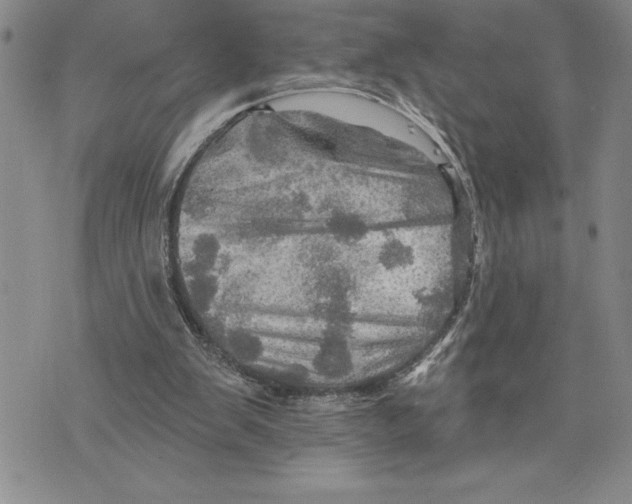 X0000075830103200610151530