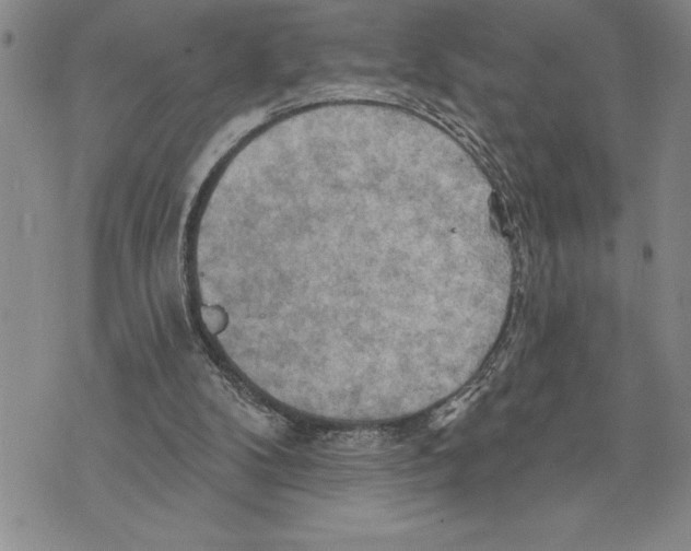 X0000075830104200610151530