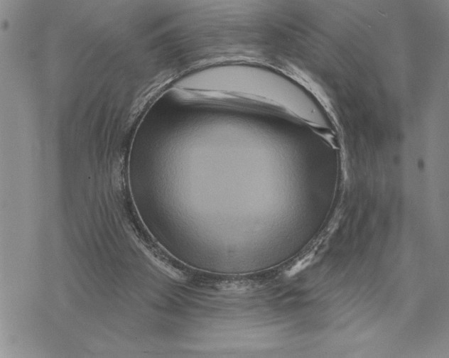 X0000075830105200610151530