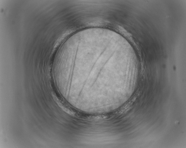 X0000075830106200610151530