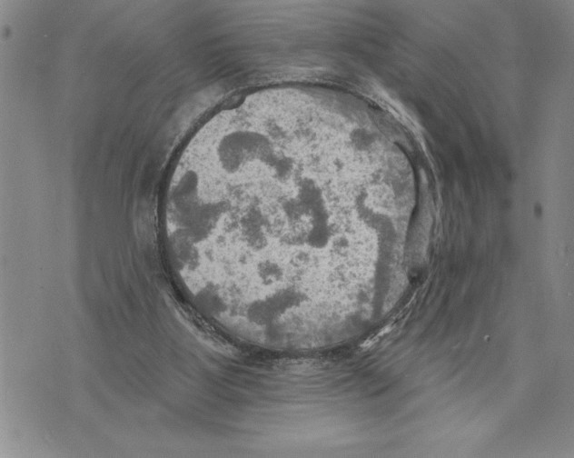 X0000075830107200610151530