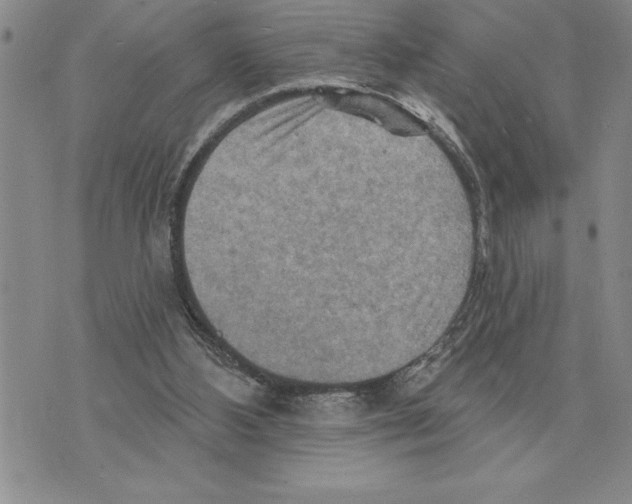 X0000075830108200610151530