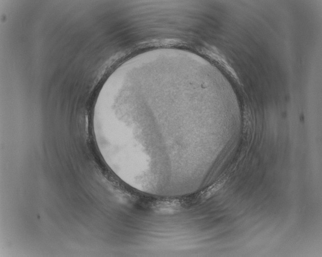 X0000075830110200610151530