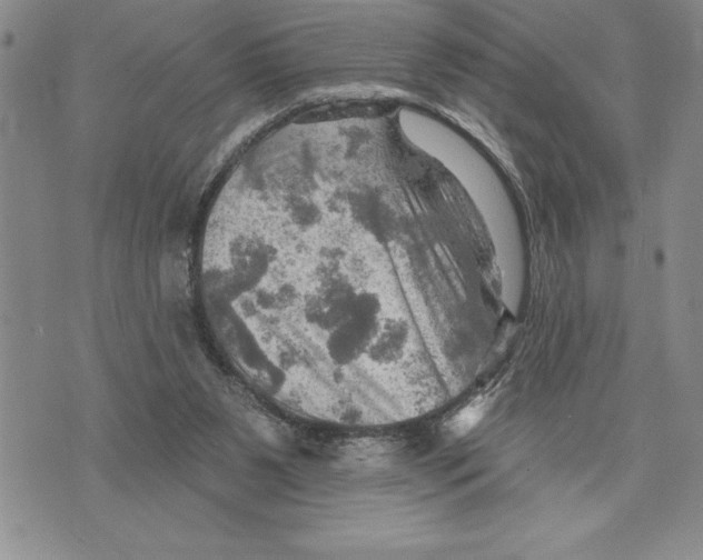 X0000075830111200610151530