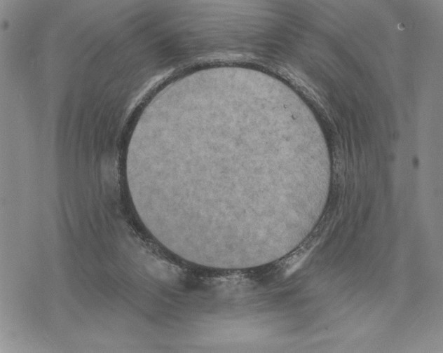 X0000075830112200610151530