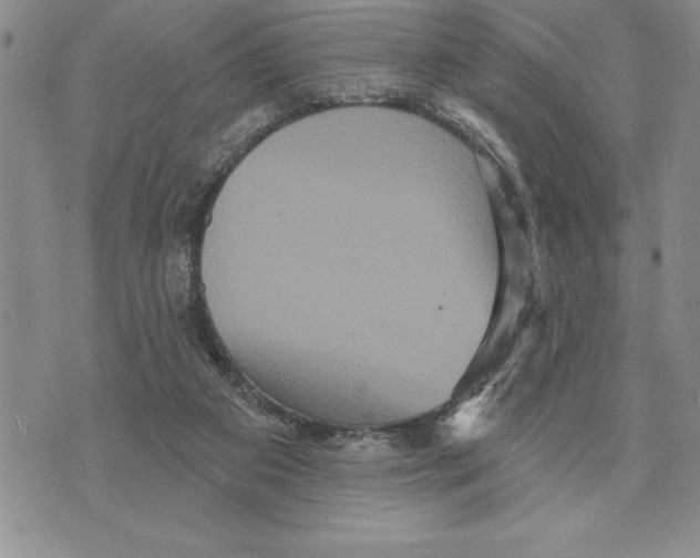 X0000075830113200610151530