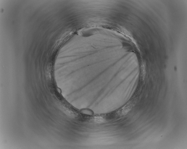 X0000075830114200610151530