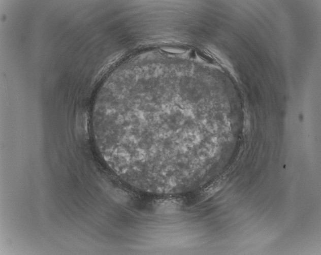 X0000075830115200610151530