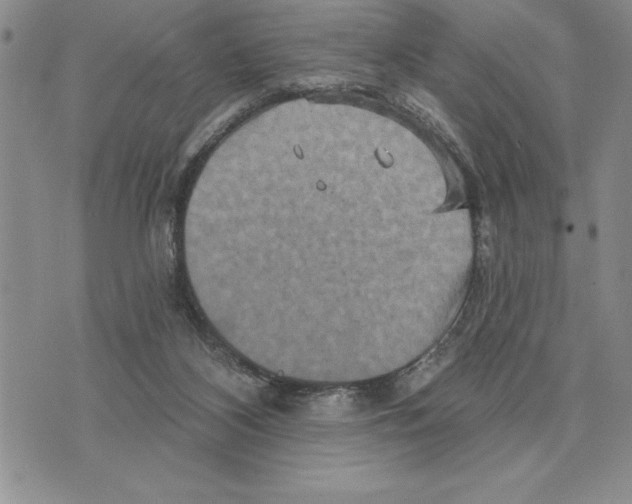 X0000075830116200610151530