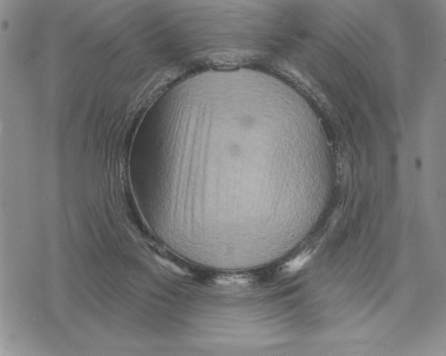 X0000075830117200610151530