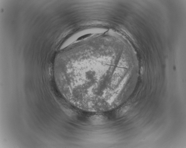 X0000075830119200610151530