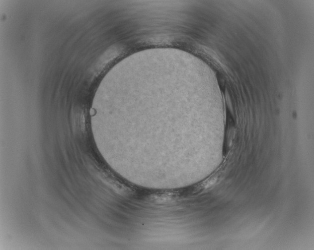 X0000075830120200610151530