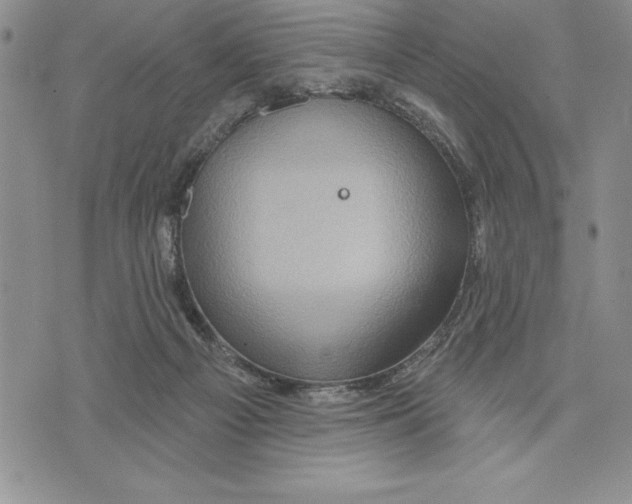 X0000075830121200610151530