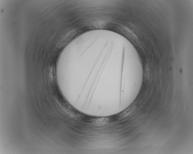 X0000075830122200610151530