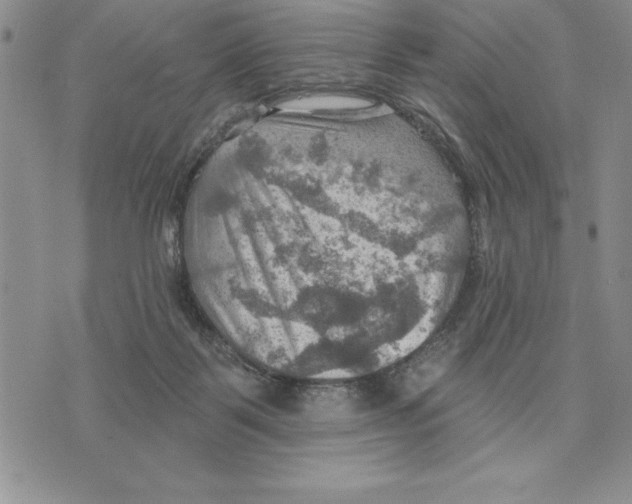 X0000075830123200610151530