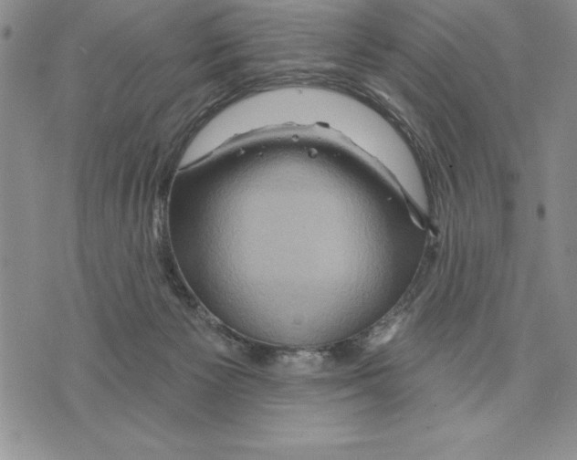 X0000075830125200610151529