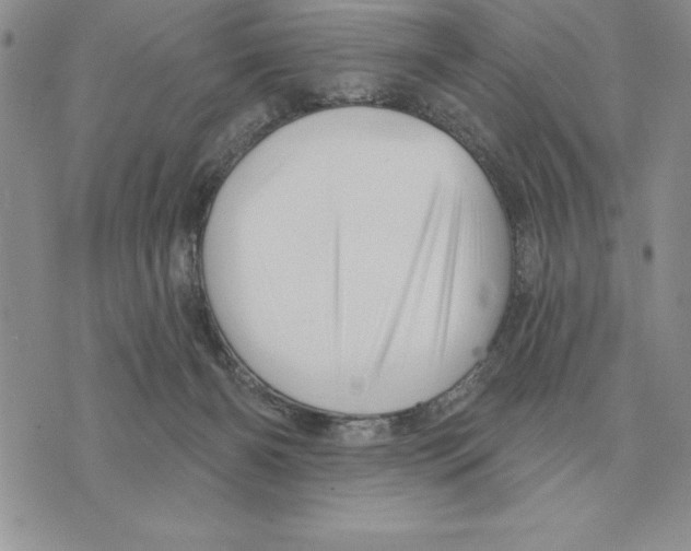 X0000075830126200610151529