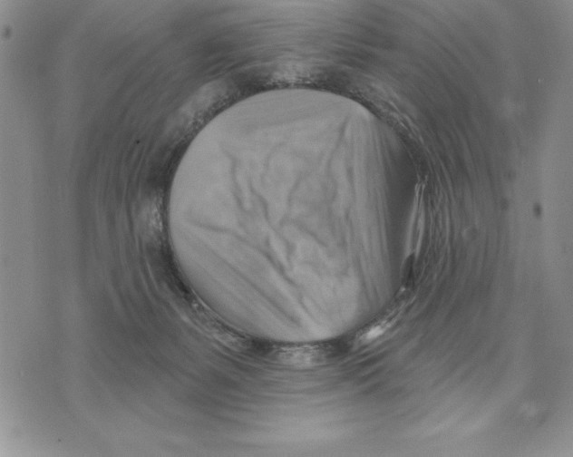 X0000075830127200610151529