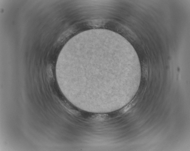 X0000075830128200610151529