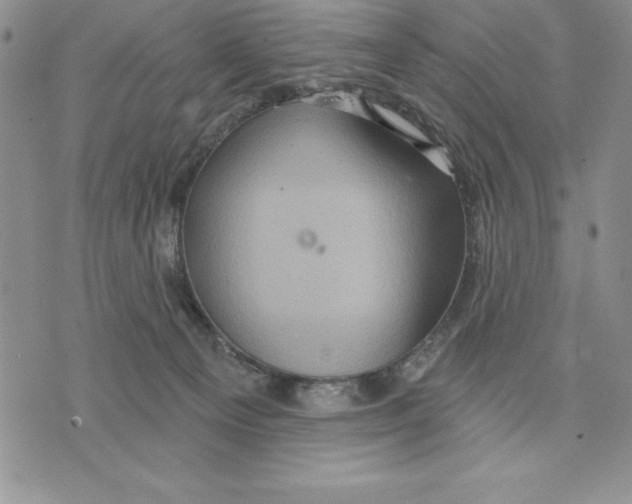 X0000075830129200610151529