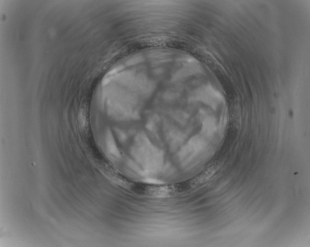 X0000075830131200610151529