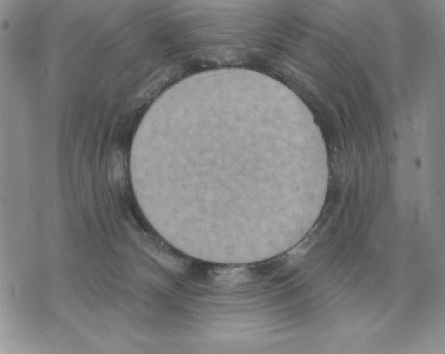 X0000075830132200610151529