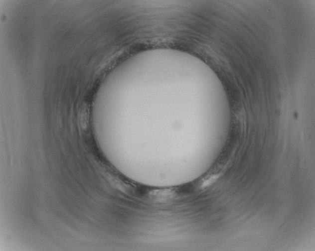 X0000075830133200610151529