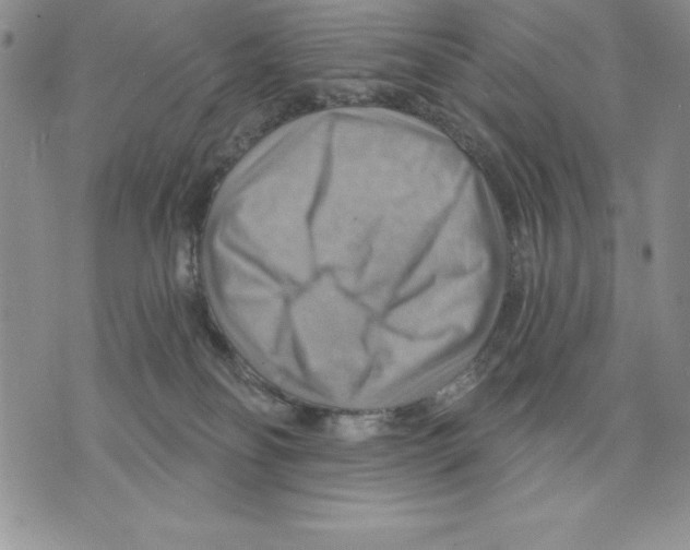 X0000075830134200610151529