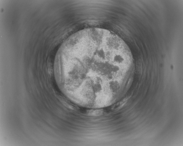 X0000075830135200610151529