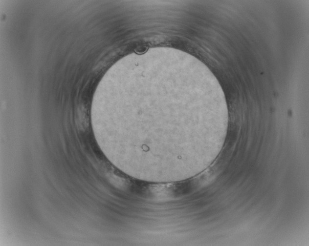 X0000075830136200610151529