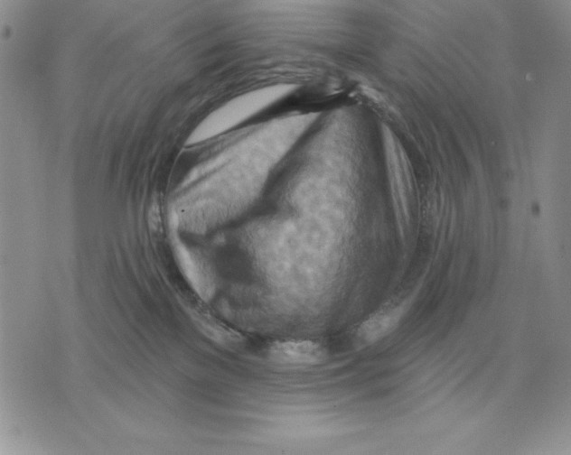 X0000075830137200610151529