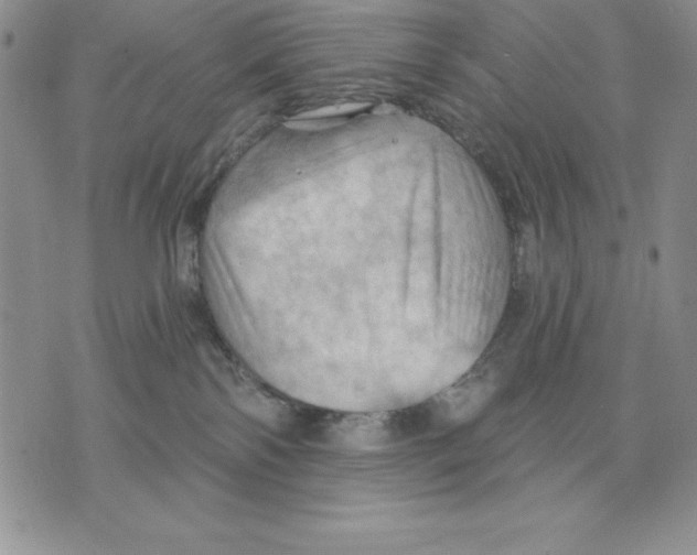 X0000075830138200610151529