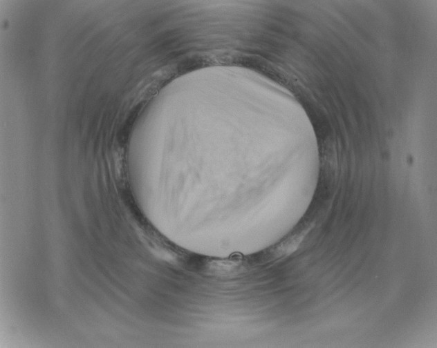 X0000075830139200610151529