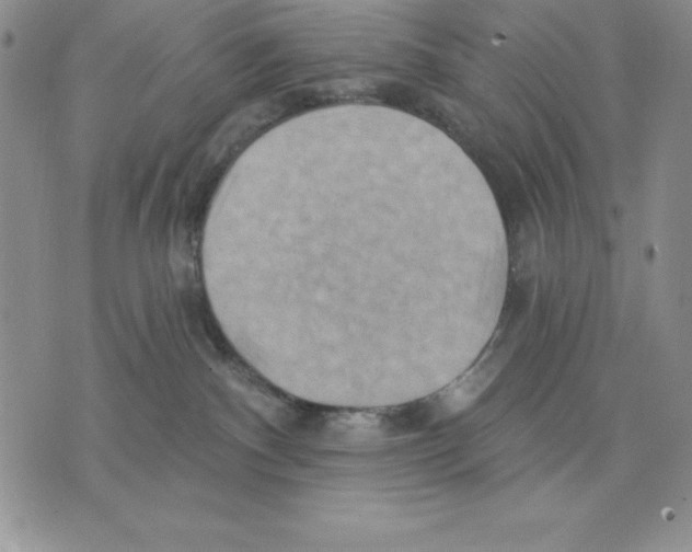 X0000075830140200610151529