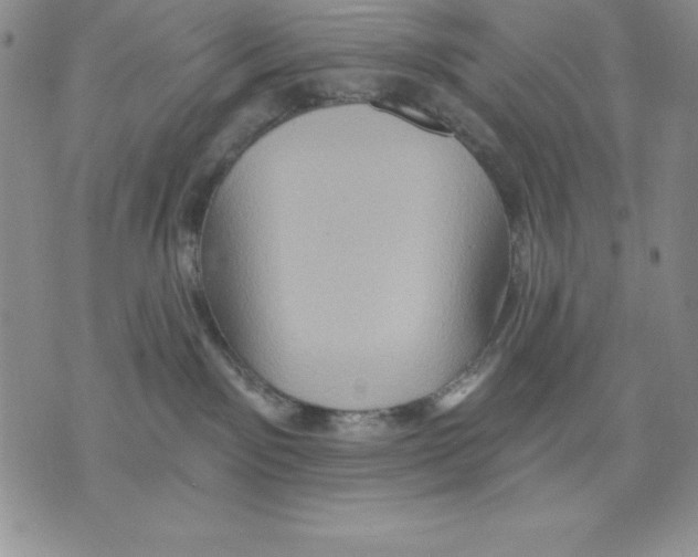 X0000075830141200610151529