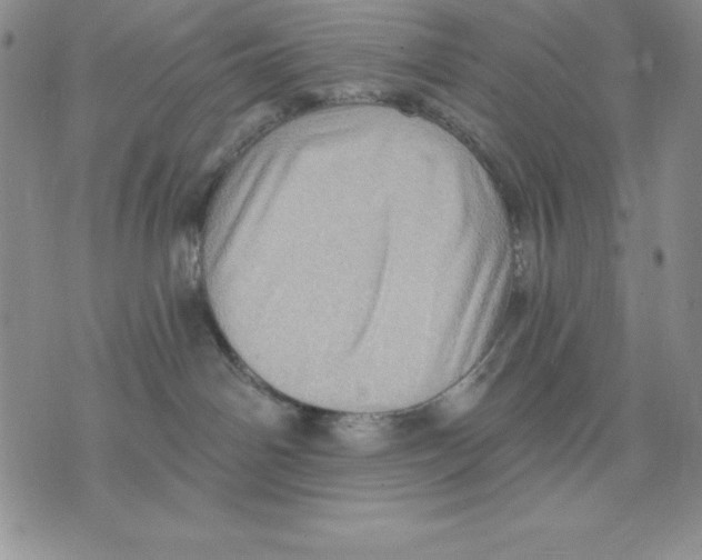 X0000075830142200610151529