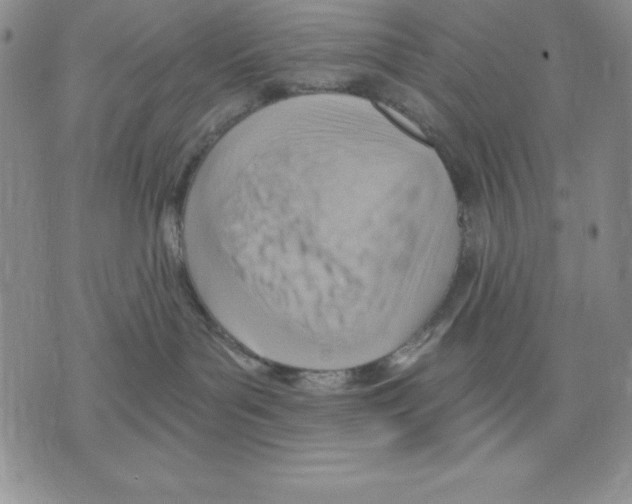 X0000075830143200610151529