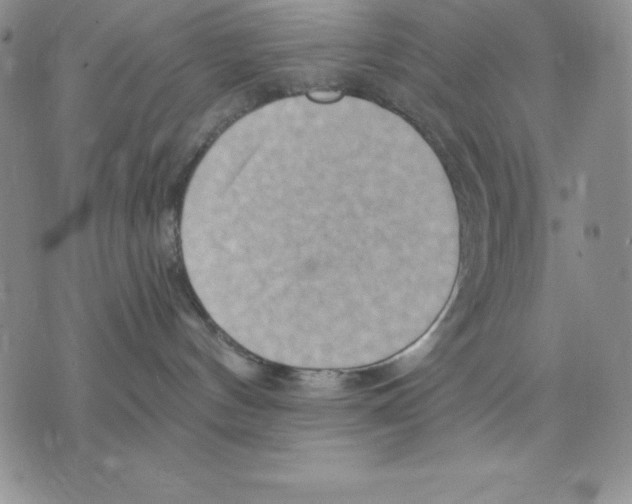 X0000075830144200610151529