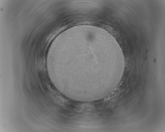 X0000075830146200610151528