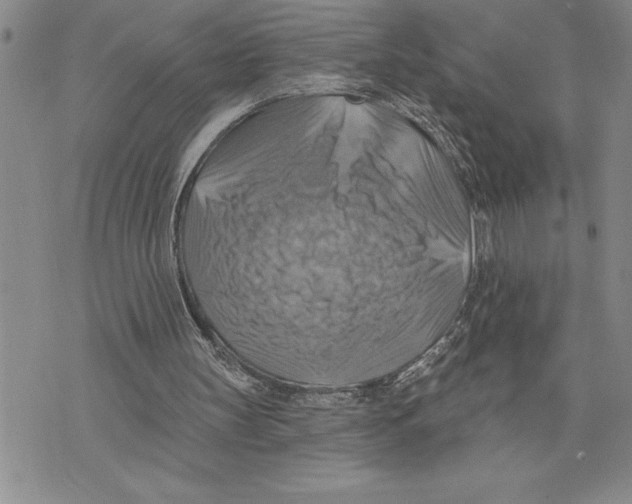 X0000075830147200610151528